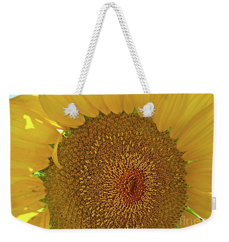Florida Weekender Tote Bag featuring the photograph Closeup Sunflower by George D Gordon III