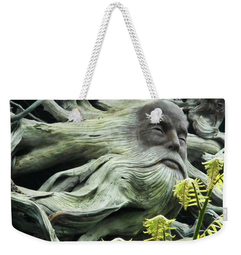 Cloud Forest Weekender Tote Bag featuring the photograph Cloud Forest 46 by Ron Kandt