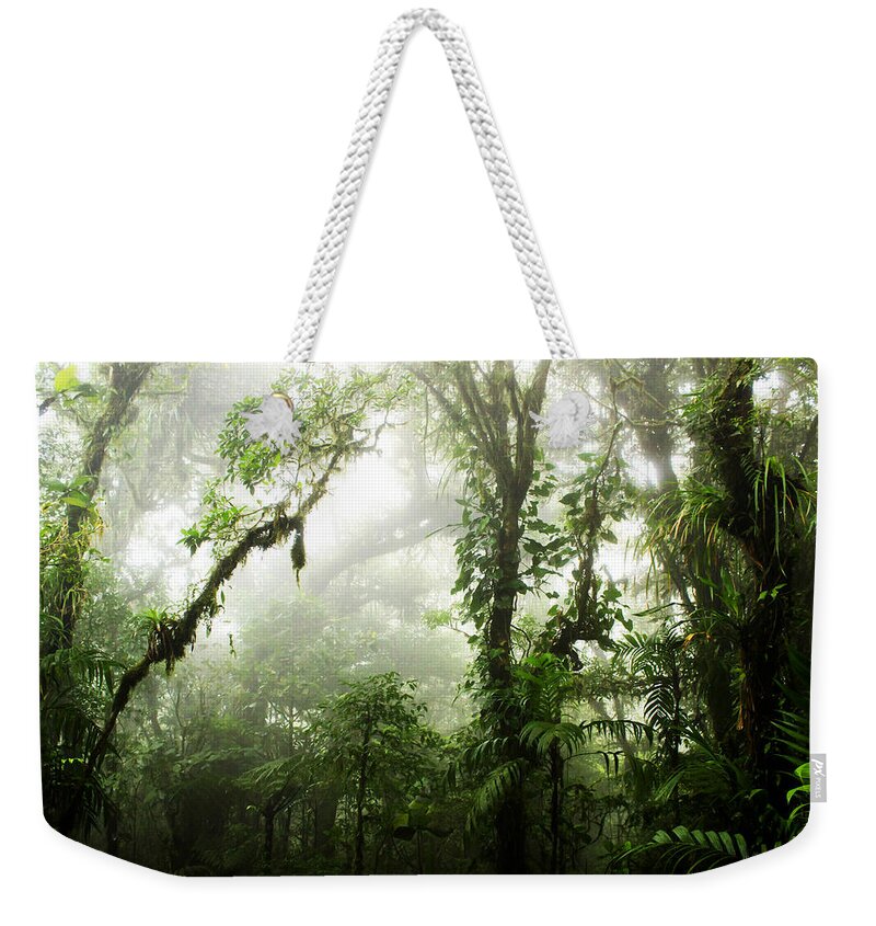 Forest Weekender Tote Bag featuring the photograph Cloud Forest by Nicklas Gustafsson