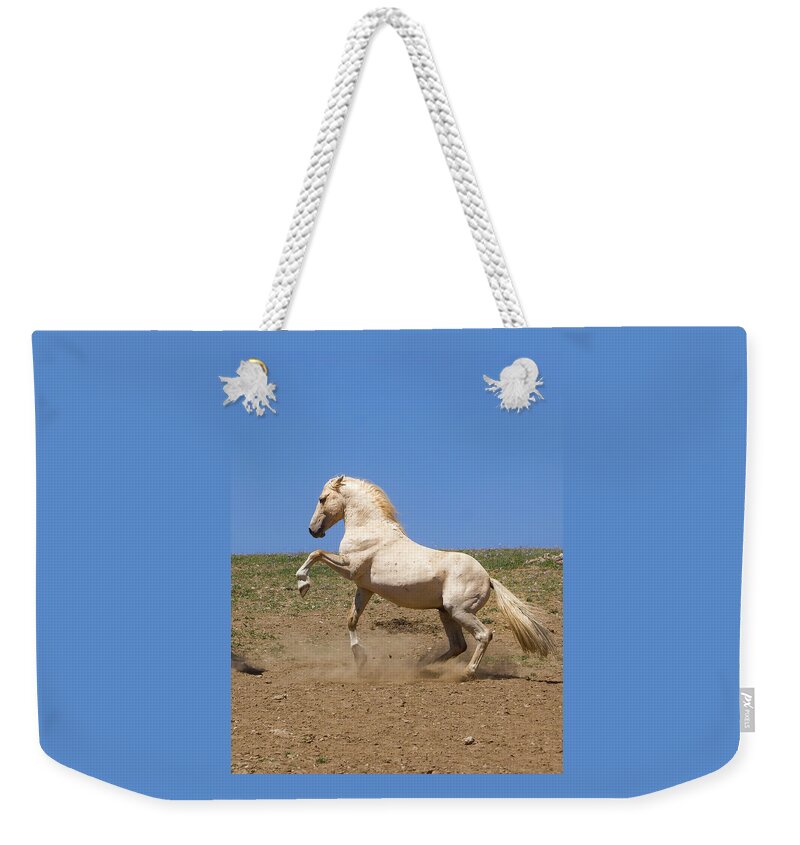 Mark Miller Photos Weekender Tote Bag featuring the photograph Cloud the Magnificent Stallion by Mark Miller