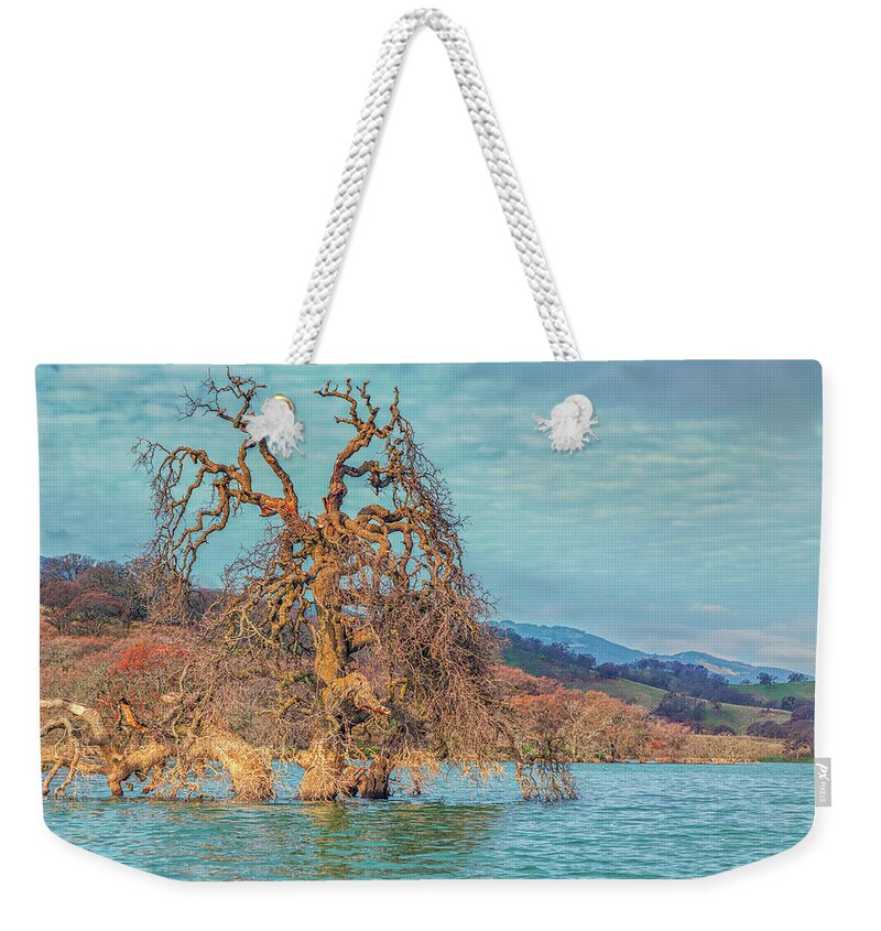 Landscape Weekender Tote Bag featuring the photograph Clouds Above Flooded Tree by Marc Crumpler