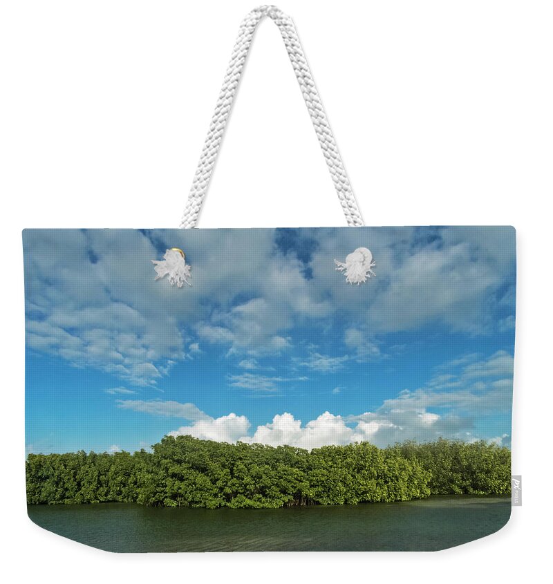Cloudscape Weekender Tote Bag featuring the photograph Clouds and Mangroves in Key West by Bob Slitzan