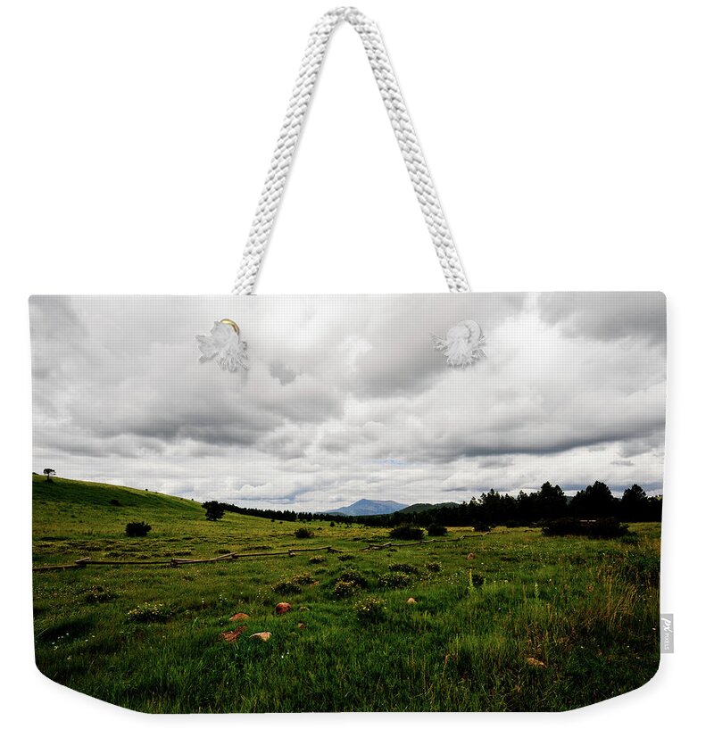 Flowers Weekender Tote Bag featuring the photograph Cloudy Meadow by Scott Sawyer