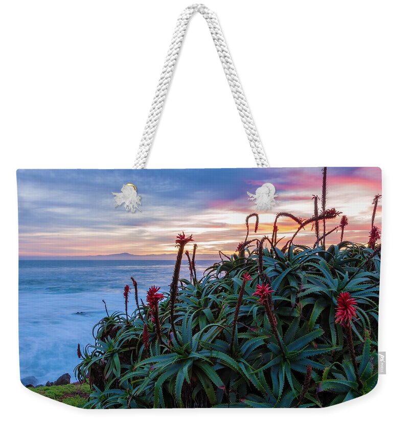Landscape Weekender Tote Bag featuring the photograph Coastal Aloes by Jonathan Nguyen