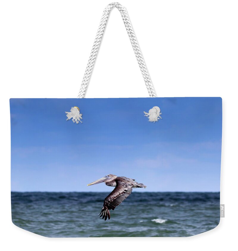 Ocean Weekender Tote Bag featuring the photograph Coastal Flight by Mary Anne Delgado