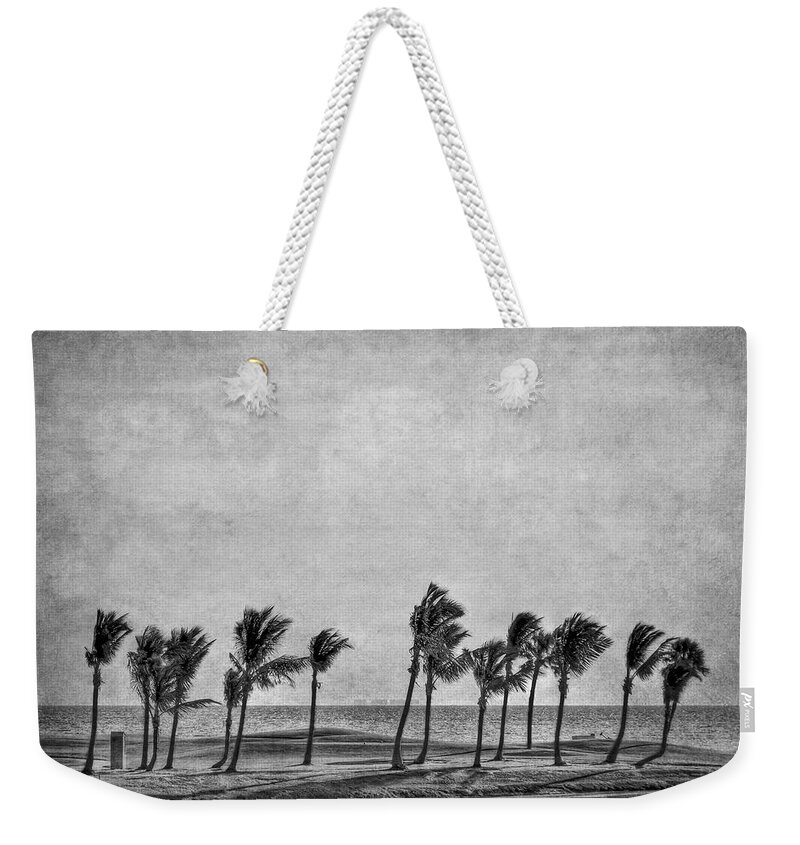 Palm Weekender Tote Bag featuring the photograph Coastal Winds by Evelina Kremsdorf