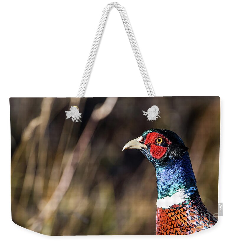 Portrait Cock Pheasant Weekender Tote Bag featuring the photograph Cock Pheasant in Fall by Torbjorn Swenelius