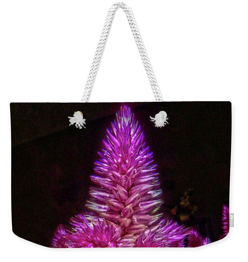 Flower Weekender Tote Bag featuring the photograph Cock's Comb by Judy Hall-Folde