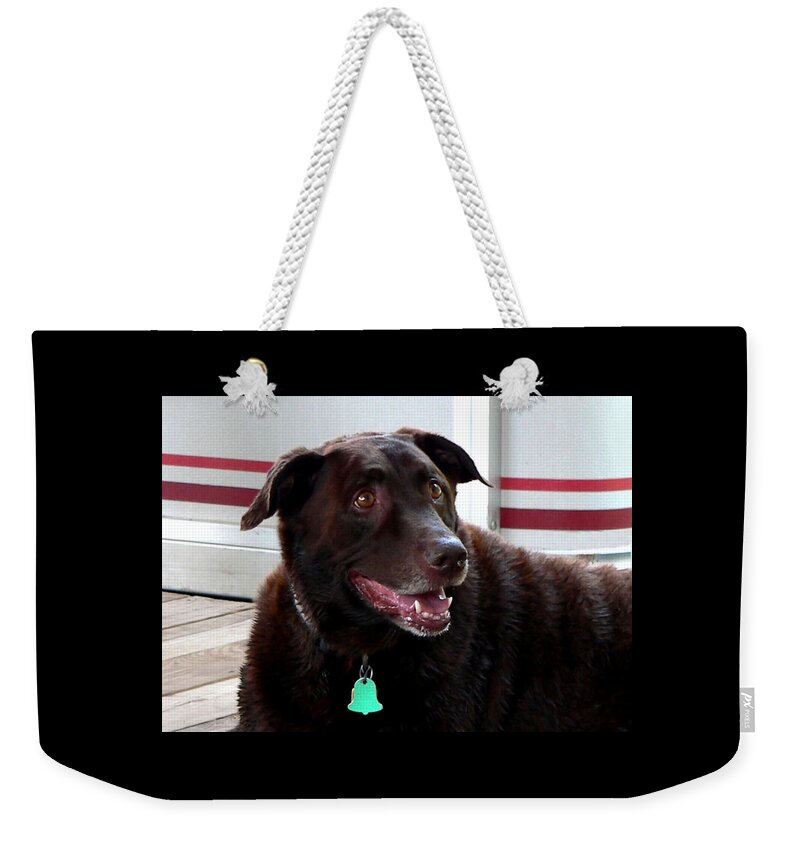 Coco Wooten Weekender Tote Bag featuring the photograph Coco Wooten by Kathy K McClellan