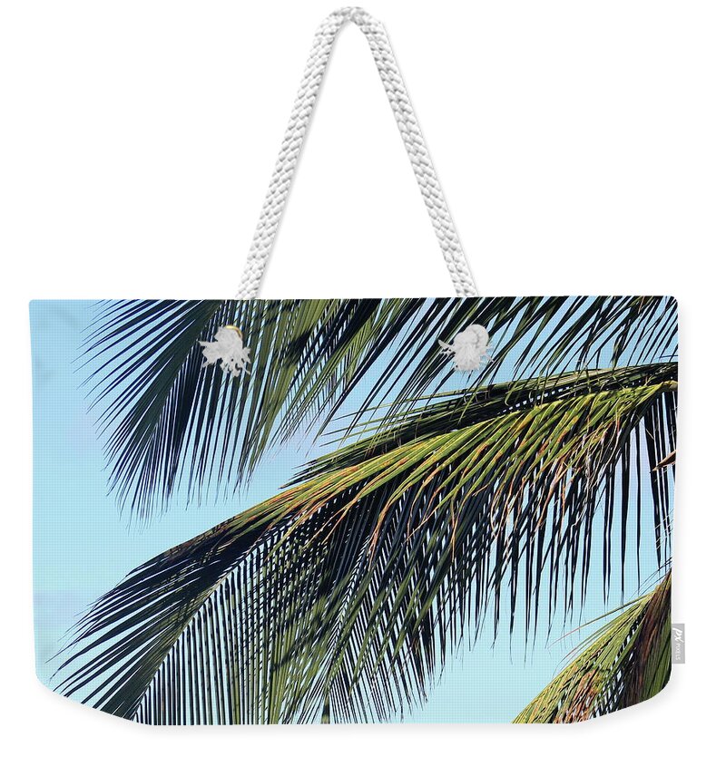 Coconut Palm Tree Weekender Tote Bag featuring the photograph Swaying Palm Branches by Alice Terrill