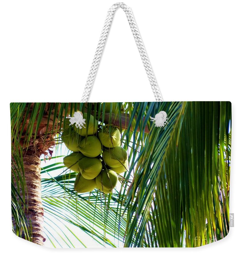 Palm Trees Weekender Tote Bag featuring the photograph Coconuts by Rosanne Licciardi