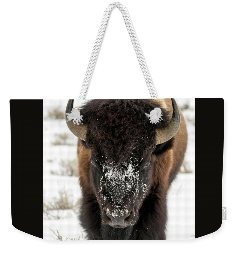 Bison Weekender Tote Bag featuring the photograph Cold Bison Stare by Mark Harrington