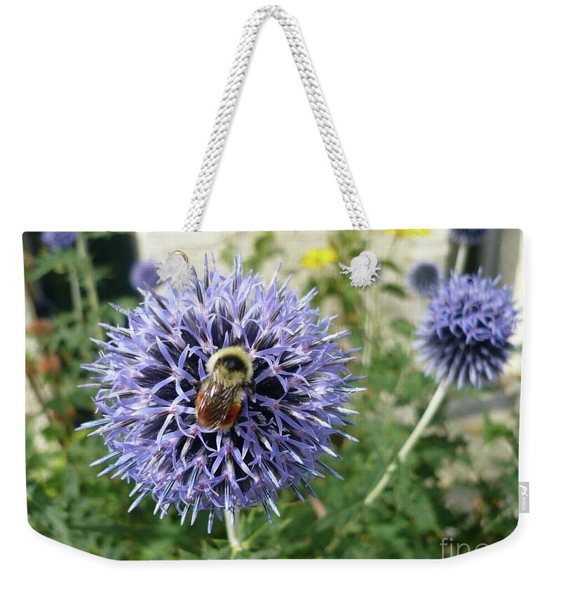 Bee Weekender Tote Bag featuring the photograph Collector by 'REA' Gallery