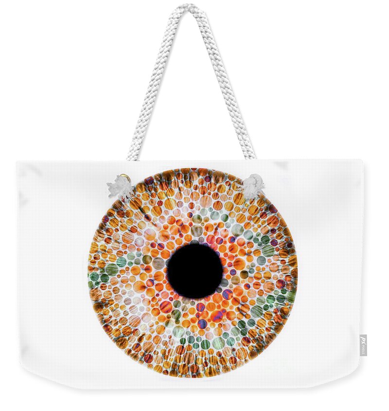 Eye Weekender Tote Bag featuring the photograph Color blindness, conceptual image chart by Doc Braham