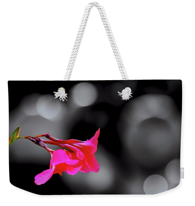 Flower Weekender Tote Bag featuring the photograph Color by Fuchsia by Joseph Hollingsworth
