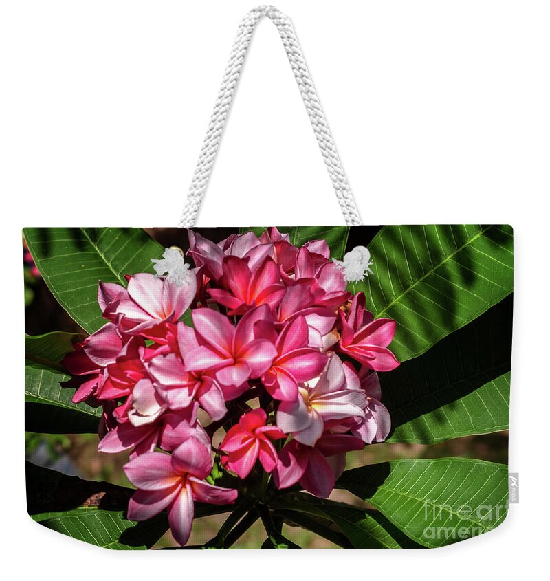 Michelle Meenawong Weekender Tote Bag featuring the photograph Color Explosion by Michelle Meenawong