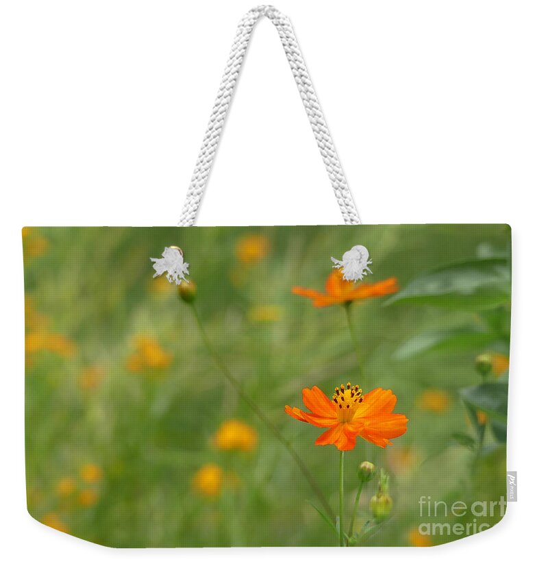 Nature Weekender Tote Bag featuring the photograph Color in Orange by Amy Dundon