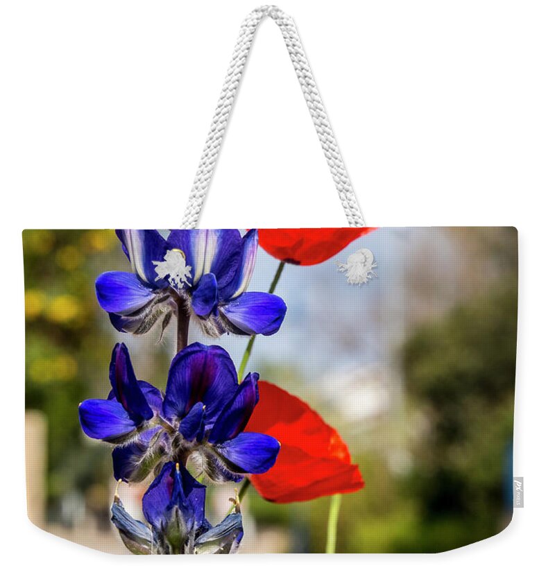 Green Weekender Tote Bag featuring the photograph Color mix by Arik Baltinester