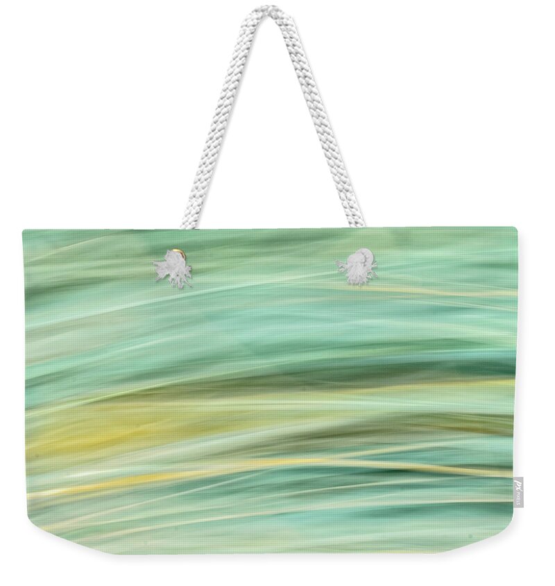 Clematis Vine Weekender Tote Bag featuring the photograph Color Swipe by Tom Singleton