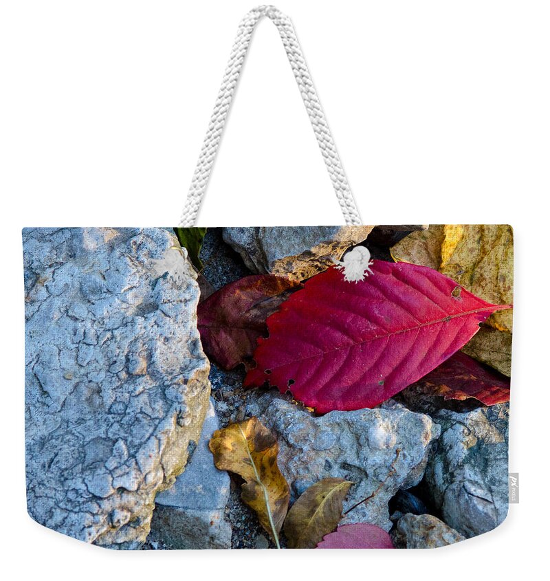 Fall Weekender Tote Bag featuring the photograph Color Underfoot by Jeff Phillippi