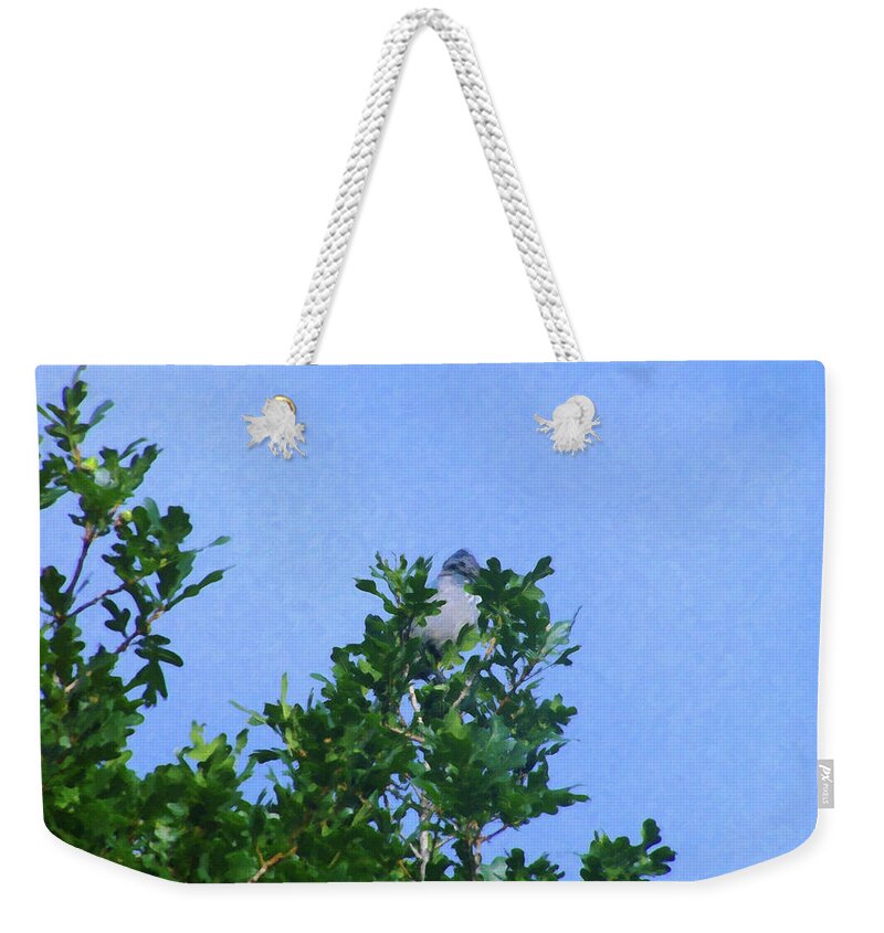 Home Decor Weekender Tote Bag featuring the painting Colorado Springs area Digital Oil #06 by Flees Photos