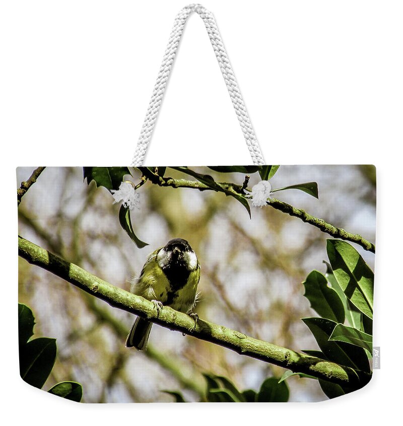 Bird Weekender Tote Bag featuring the photograph Colorful Bird by Cesar Vieira