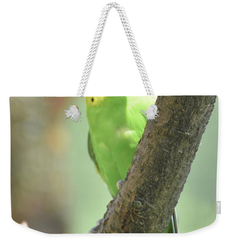 Budgie Weekender Tote Bag featuring the photograph Colorful Budgie with His Eyes Closed in a Tree by DejaVu Designs