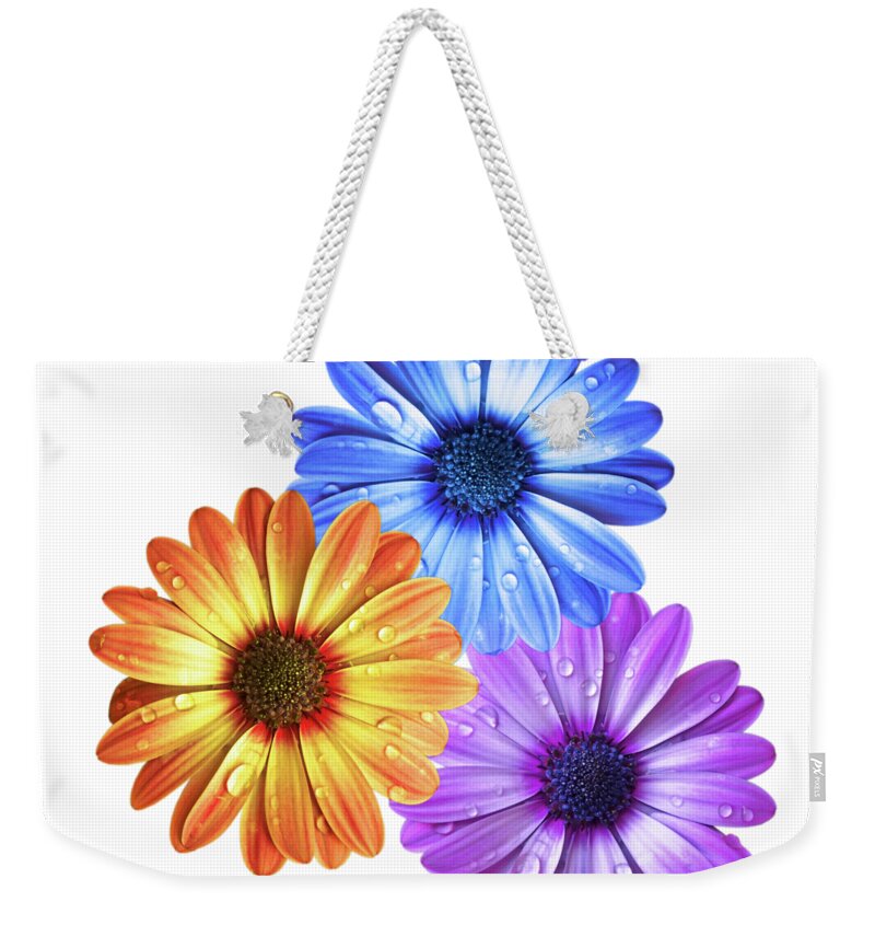 Daisy Weekender Tote Bag featuring the photograph Colorful Daisies With Water Drops On White by Gill Billington