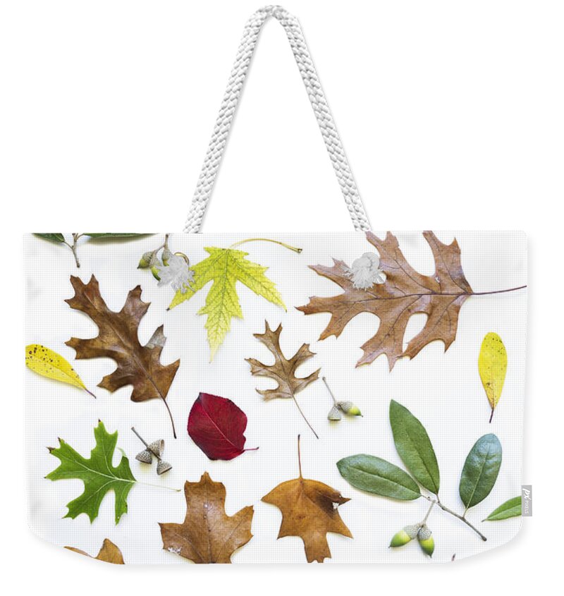 Colorful Fall Leaves Weekender Tote Bag featuring the photograph Colorful fall leaves by Elena Nosyreva