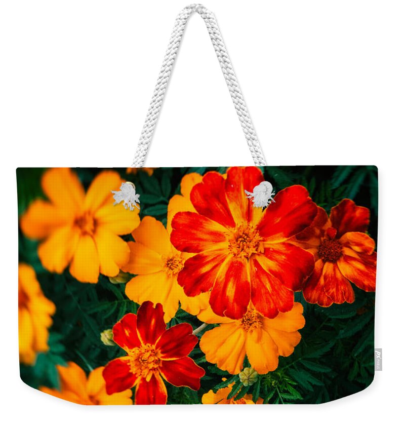 Beautiful Weekender Tote Bag featuring the photograph Colorful flowers by Silvia Ganora