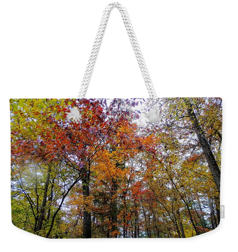 Autumn Weekender Tote Bag featuring the photograph Colorful Forest by Doris Aguirre