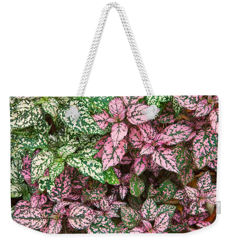 Leafy Weekender Tote Bag featuring the photograph Colorful Leafy Ground Cover by Ram Vasudev