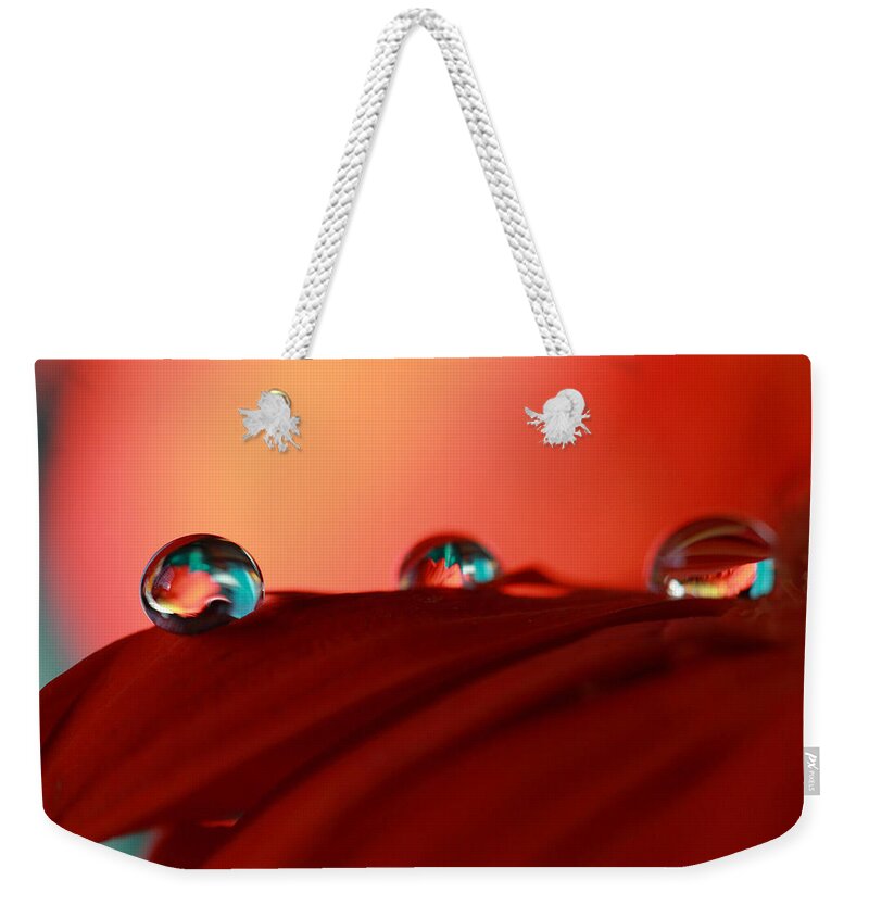 Macro Weekender Tote Bag featuring the photograph Colorful Macro Water Drops by Angela Murdock