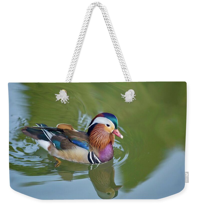 Colorful Mandarin Duck 2 Weekender Tote Bag featuring the photograph Colorful mandarin duck 2 by Lynn Hopwood
