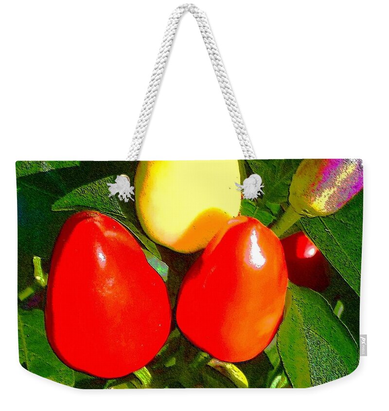 Pepper Weekender Tote Bag featuring the photograph Colorful Pepper Plant by Barbie Corbett-Newmin