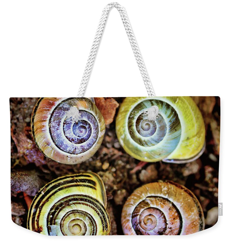 Snails Weekender Tote Bag featuring the photograph Colorful Snail Shells Still Life by Peggy Collins