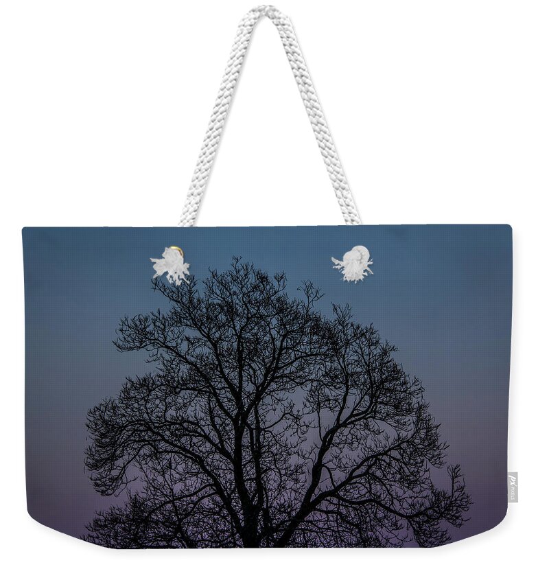 Pink Weekender Tote Bag featuring the photograph Colorful Subtle Silhouette by Darryl Hendricks