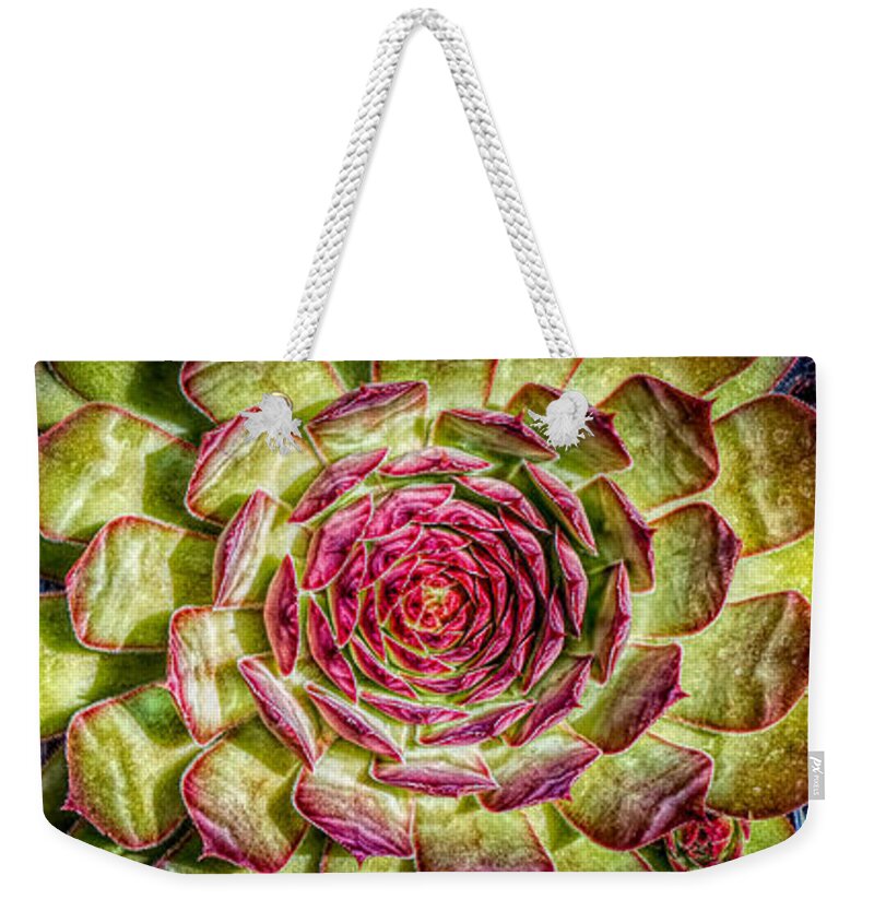 Colorful Succulents Plant Weekender Tote Bag featuring the photograph Colorful Succulent plants by Lilia S