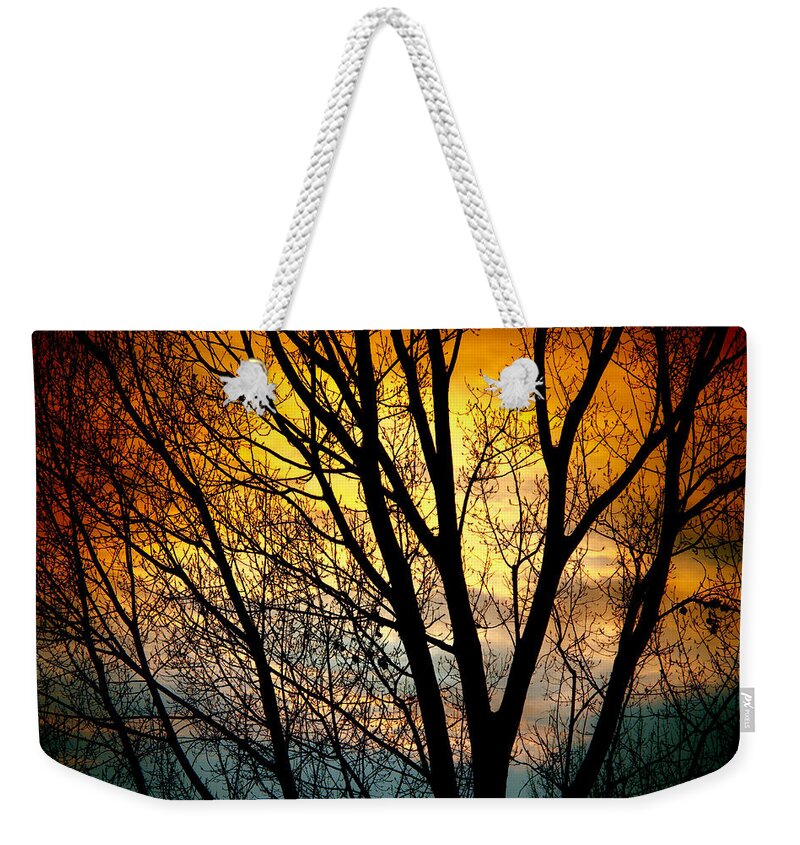 Sunsets Weekender Tote Bag featuring the photograph Colorful Sunset Silhouette by James BO Insogna