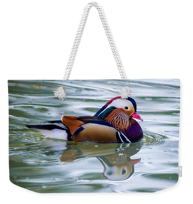 Colorful Weekender Tote Bag featuring the photograph Colorful by Torbjorn Swenelius