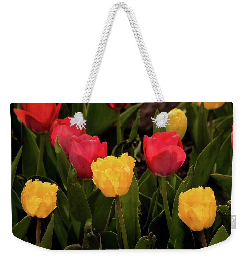 Flower Weekender Tote Bag featuring the photograph Colorful Tulips by Don Johnson