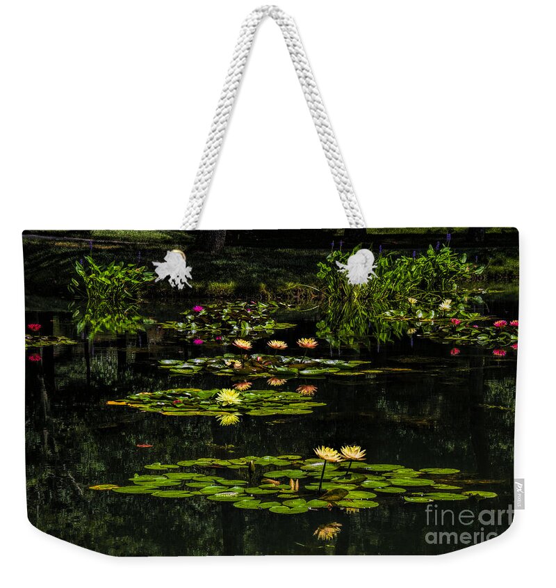 Waterlily Weekender Tote Bag featuring the photograph Colorful Waterlily Pond by Barbara Bowen
