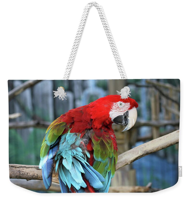 Parrot Weekender Tote Bag featuring the photograph Colors by Jackson Pearson