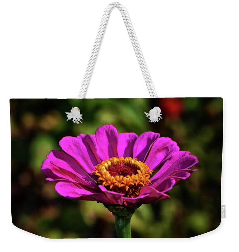 Purple Weekender Tote Bag featuring the photograph Colors Of Nature 028 by George Bostian