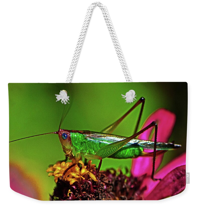 Grasshopper Weekender Tote Bag featuring the photograph Colors Of Nature - Grasshopper On A Zinnia 001 by George Bostian