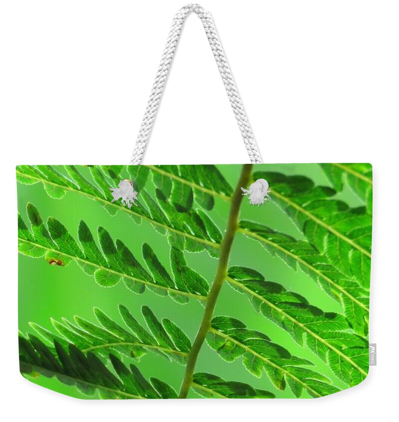 Green Weekender Tote Bag featuring the photograph Colour Green by Anita Adams