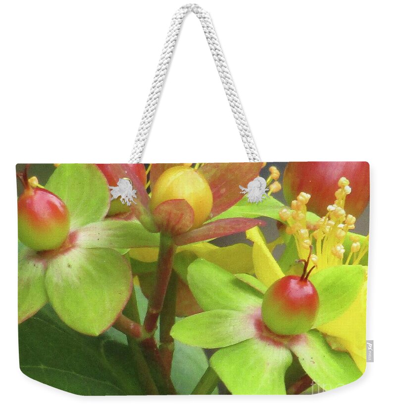 Yellow Flowers Weekender Tote Bag featuring the photograph Coloured Beads by Kim Tran