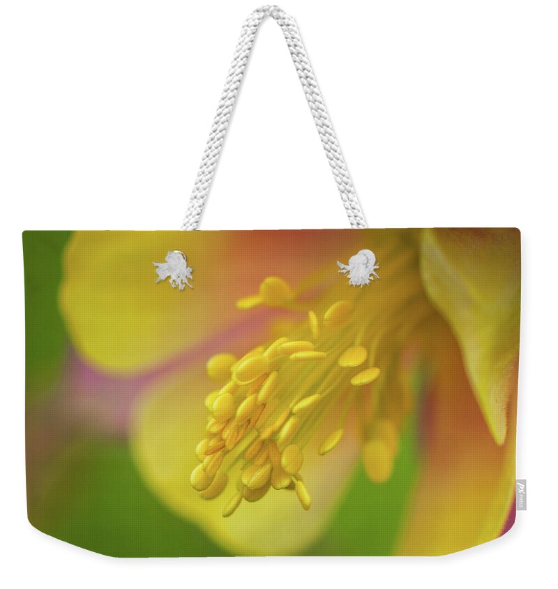 Greg Nyquist Weekender Tote Bag featuring the photograph Columbine by Greg Nyquist