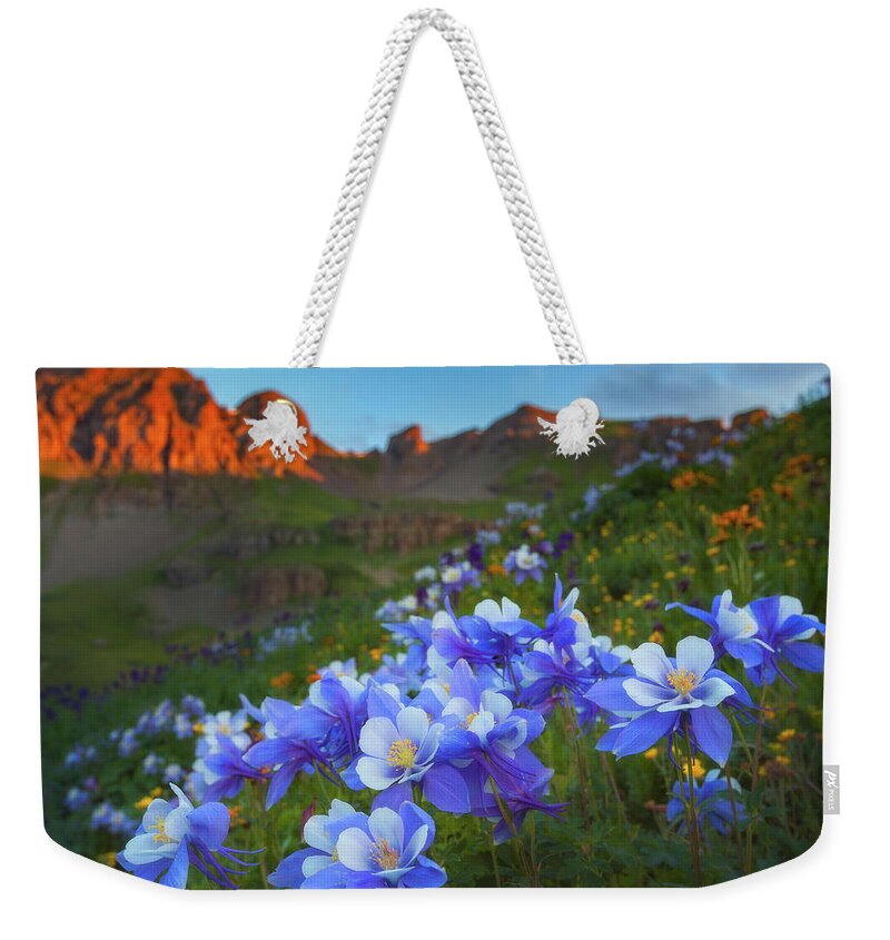 Colorado Weekender Tote Bag featuring the photograph Columbine Sunrise by Darren White