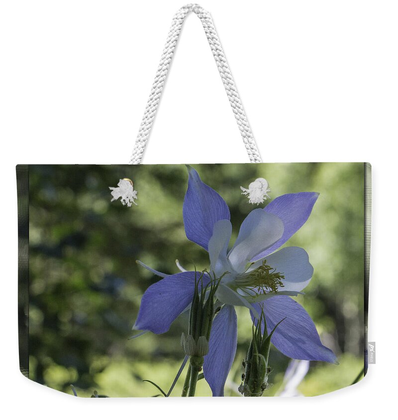 Chris Thomas Weekender Tote Bag featuring the photograph Columbine with Styalized Border by Chris Thomas